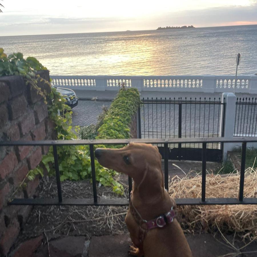 Willa Terraza Sacramento - Atardecer En El Barrio Historico Colonia del Sacramento Zewnętrze zdjęcie